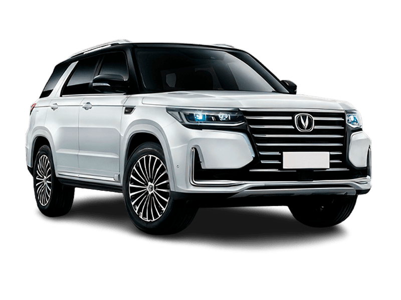 Полярный Белый